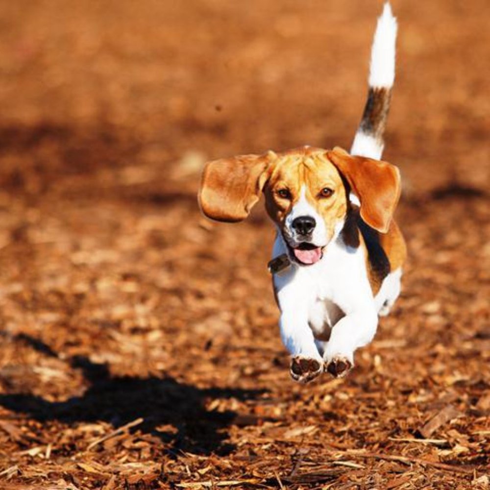 Meet your Posher, Pam